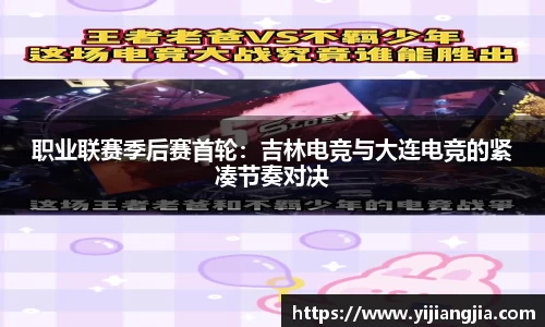 DG视讯