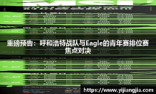 DG视讯APP