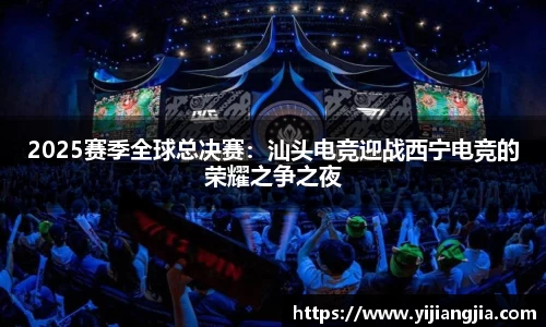 DG视讯官网