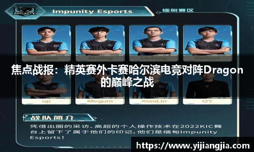 DG视讯