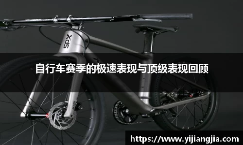 DG视讯APP